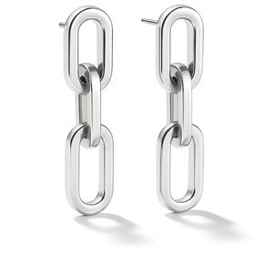 Sleek Silver Chain Link Earrings